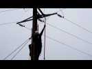 Bezange-la-Petite : les équipes d'Enedis retirent un nid de corneille posé sur des câbles 20000 volts