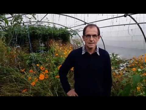 Le "Calendrier lunaire" est né dans le Jura