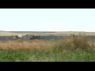 US, Turkey launch joint patrols in northeast Syria - Label : AFPTV - First images - Category : News