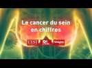 Le cancer du sein en chiffres - Label : L'Est Républicain - Category : News