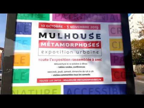 Architecture : balade dans un Mulhouse en « transitions »