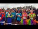 Elsass Run &agrave; Logelheim - Label : L'Alsace - Category : News