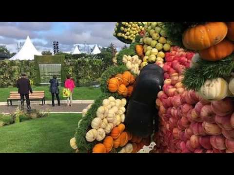 Mulhouse : le devenir des fruits et des légumes après Folie'Flore