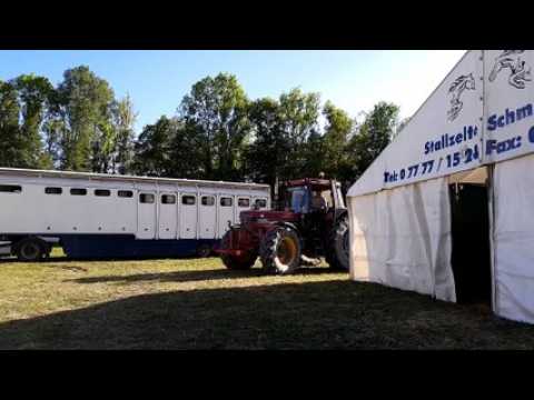 Christophe Hasta Luego revient sur le voyage de ses chevaux avant la Biennale équestre de Thillombois