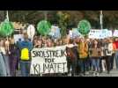 Protesters gather in Stockholm to demand action on climate change