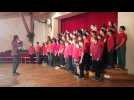 Centenaire de la pédagogie Steiner à l'école Michaël à Strasbourg-Koenigshoffen