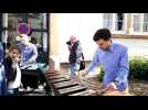 Inauguration du conservatoire de musique de Sarrebourg - Label : Le Républicain Lorrain - Category : News