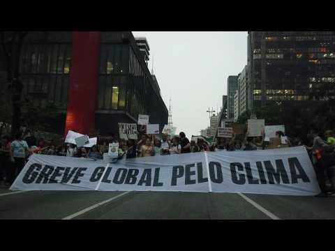 Fridays for Future: Brazilian climate marchers want Bolsonaro out