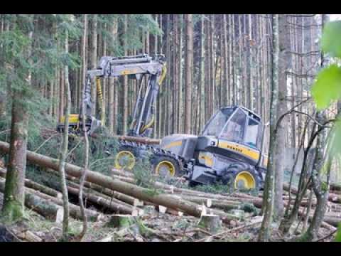 Des habitants de la vallée de la Doller dénoncent le mode d'exploitation forestière dans le massif du Sprinckelsberg et demande que la population soit associée aux choix de gestion sylvicole