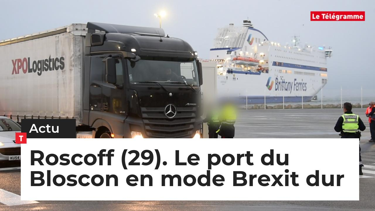 Roscoff (29). Le port du Bloscon en mode Brexit dur (Le Télégramme)