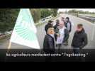 Strasbourg :  les agriculteurs occupent les autoroutes pour d&eacute;noncer "l'agribashing" - Label : L'Alsace - Category : News