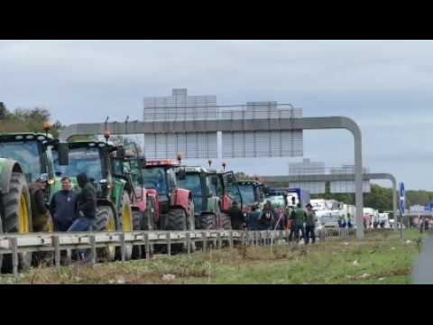 Mobilisation des agriculteurs : la journée en images dans le Haut-Rhin