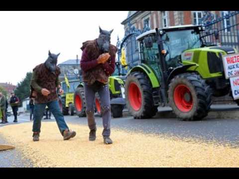 « Les sangliers retournent nos prés ! »
