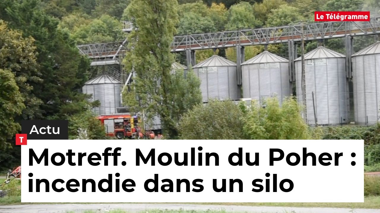 Motreff (29). Dégagement de fumée dans un silo de l'entreprise Moulin du Poher (Le Télégramme)