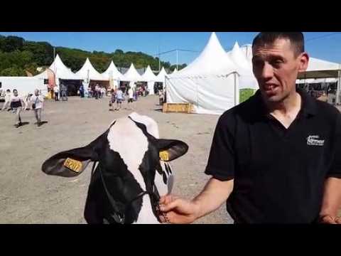 Verdun Expo - Concours agricole : Odalavie remporte la section génisse 2B