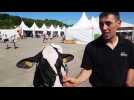 Verdun Expo - Concours agricole : Odalavie remporte la section génisse 2B