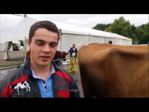 Verdun Expo : le village agricole ouvre ses portes