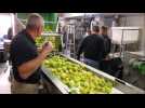 DNA - L'atelier de jus de fruits de Rossfeld (Alsace)