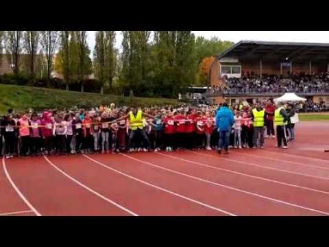 Sarreguemines : 16e cross de l Agglomération, 1000 enfants de cm1 et cm2 au départ