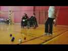 La boccia, une discipline paralympique en plein boom dans le Grand Est