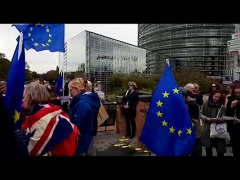 Strasbourg : la communauté britannique marche contre le Brexit