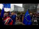 Strasbourg : la communauté britannique marche contre le Brexit