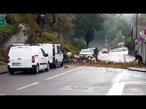 Une grosse branche bloque la route à Dole
