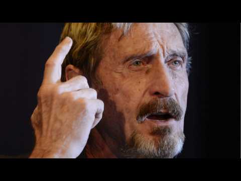 John McAfee Awaits Extradition From Spain For Tax Dodging