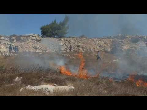 Palestinian farmers injured in clashes with Israeli troops in Ramallah