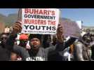 Hundreds of Nigerian expats protest in Cape Town