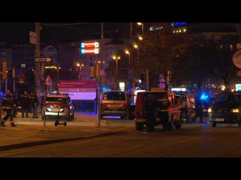 Police on scene of shooting near synagogue in Vienna (2)