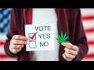 New Jersey And South Dakota Vote To Legalize Recreational Marijuana