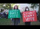 Protesters gather in DC to demand all votes be counted