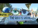 Demonstrators march in DC calling to "count every vote" - Label : AFPTV - First images - Category : News