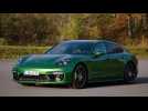 The new Porsche Panamera Turbo S E-Hybrid Design in Mamba Green
