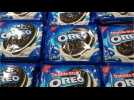 Lady Gaga And Oreo To Release A Special Limited Edition Cookie