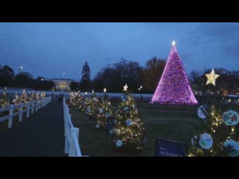 Stars twinkle as National Christmas Tree lit up in DC