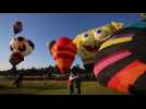 Watch: Mexican balloon festival goes online due to COVID-19 pandemic