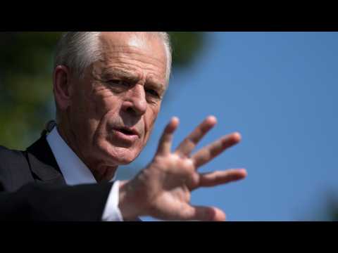 Peter Navarro: America Is Operating Under 'An Immaculate Deception'