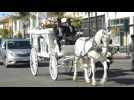 Horse-drawn carriage leads funeral procession in memory of COVID-19 victims in California