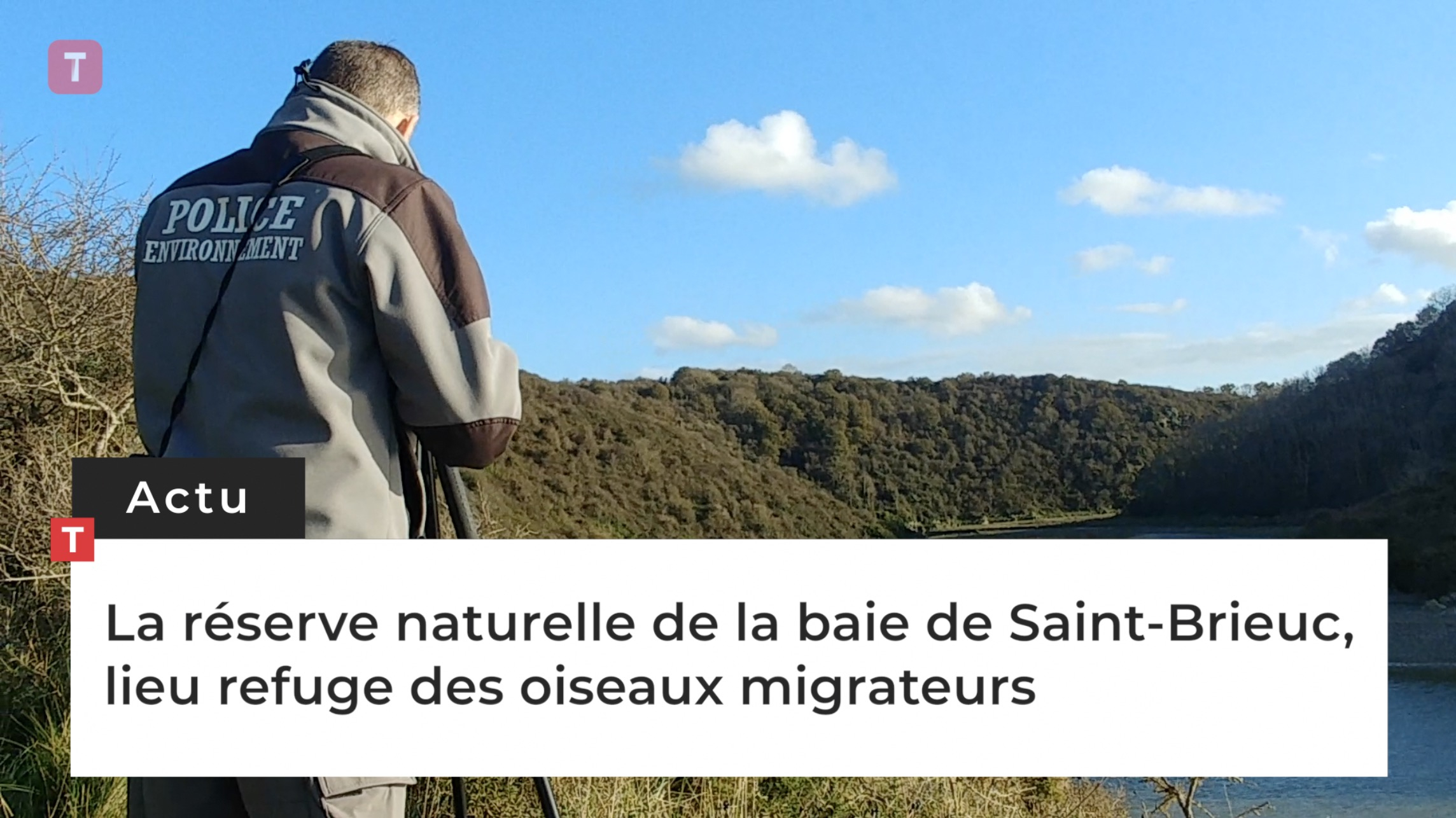 La réserve naturelle de la baie de Saint-Brieuc, lieu refuge des oiseaux migrateurs (Le Télégramme)