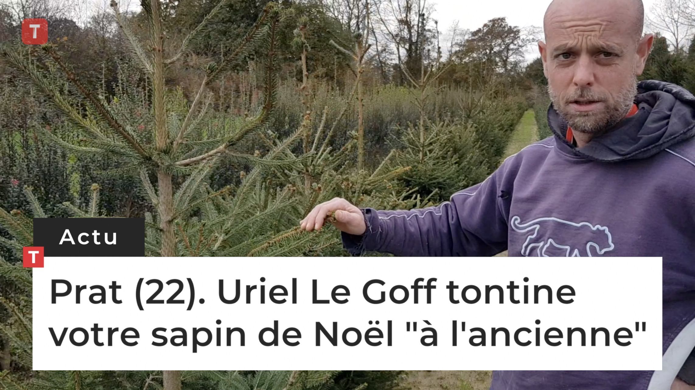 Prat (22). Uriel Le Goff tontine votre sapin de Noël "à l'ancienne" (Le Télégramme)