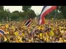 Thailand: Royalist supporters rally amid protests demanding reform of monarchy