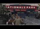 US: Voters line up outside Washington baseball park to cast early ballots