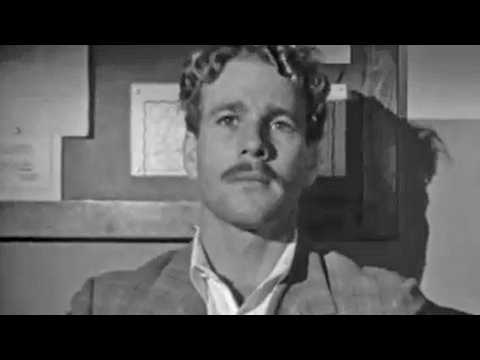 La Barbe à papa - Bande annonce 1 - VO - (1973)