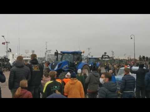 Danish farmers protest against the Government for the slaughter of minks