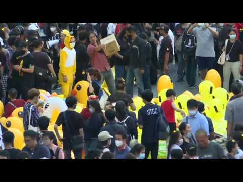 Ducks bob on pro-democracy crowd in new Thailand rally