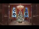 Footage of Christmas decorations at White House