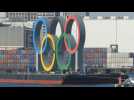 Olympic rings back in Tokyo Bay after checkups