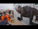 Images of the arrival in Cambodia of the "loneliest elephant in the world"